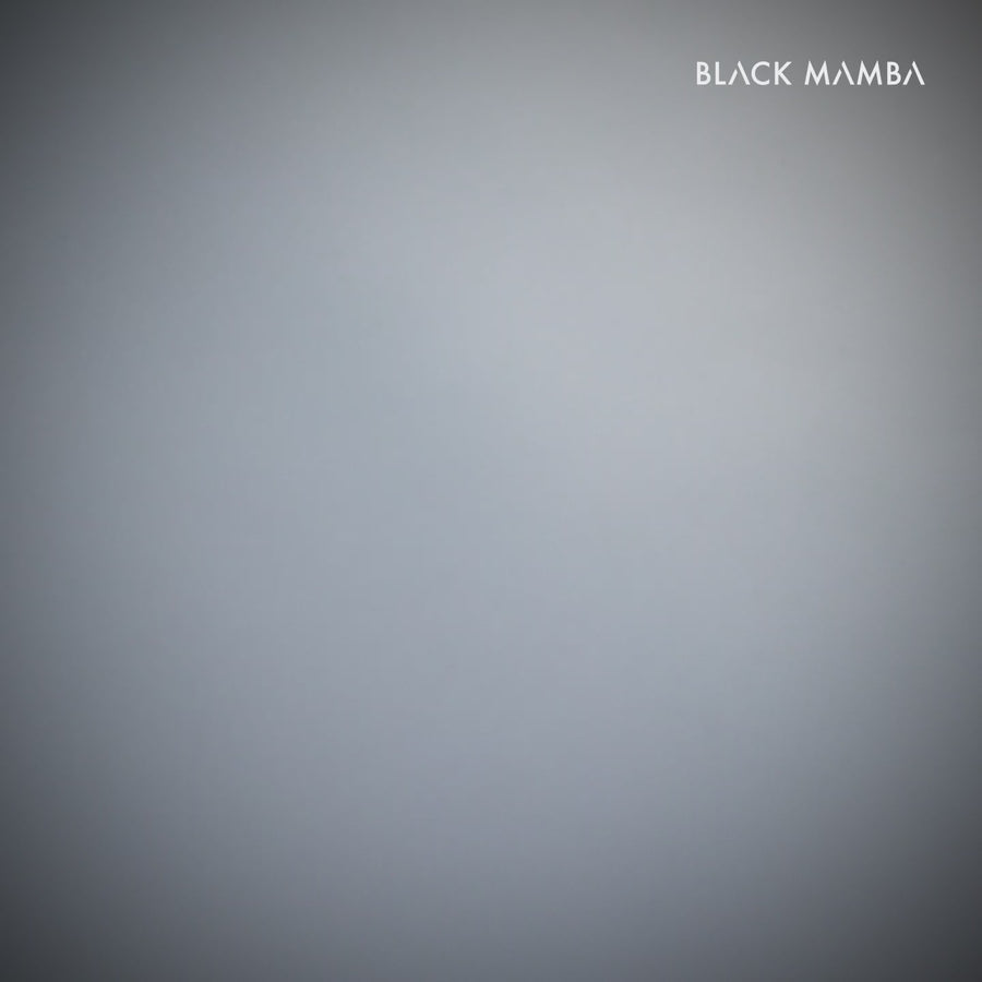 Hematite Bracelet – Power, Focus & Grounding Clarity